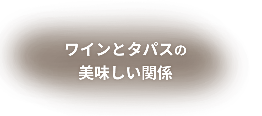 本格スペイン料理をワインとともに